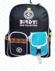 Balo nữ cấp 2,3