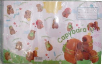 Bìa bao tập cấp 2,3