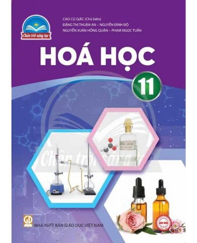 Hóa Học Lớp 11 -  Chân Trời Sáng Tạo