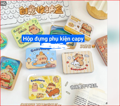 Hộp đựng phụ kiện capy